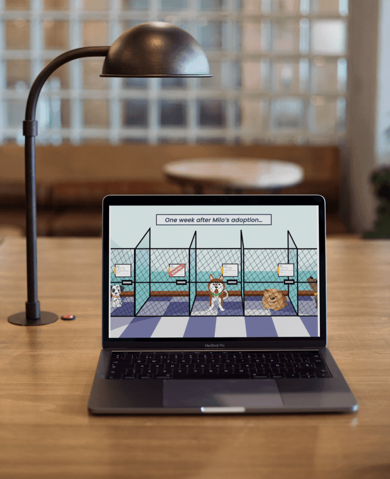 The finished Walk the Walk experience shown on a desktop screen