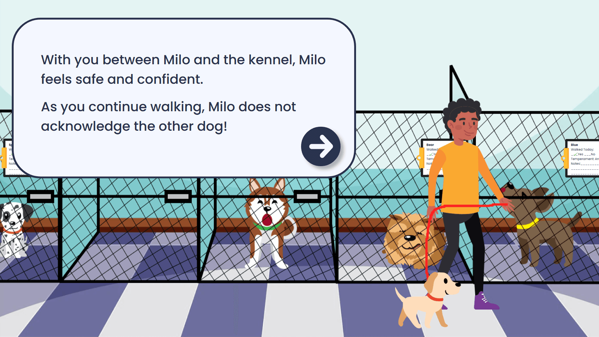 The shelter’s walking rules — loose leash, four paws down, no yelling, avoid fence fighting