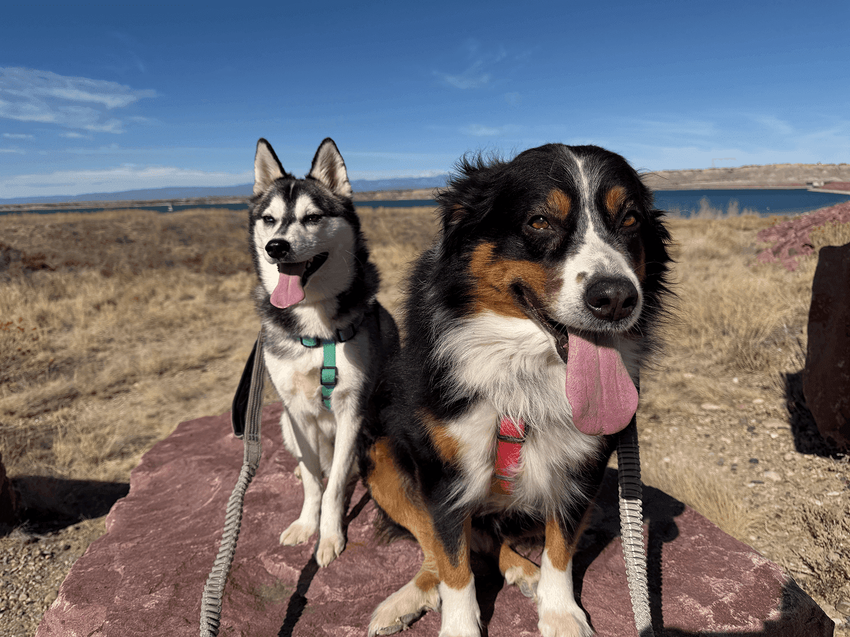 Finn and Remy sitting together on a red rock by a lake